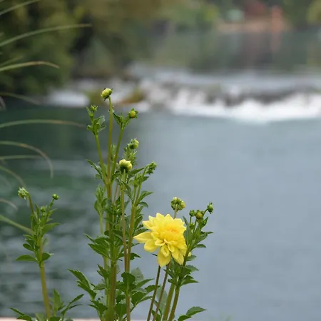 Peyton Place Apartment